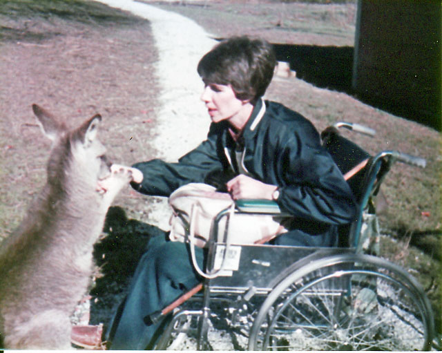 One of our co-founders meets a kangaroo while visiting Australia in her wheelchair.